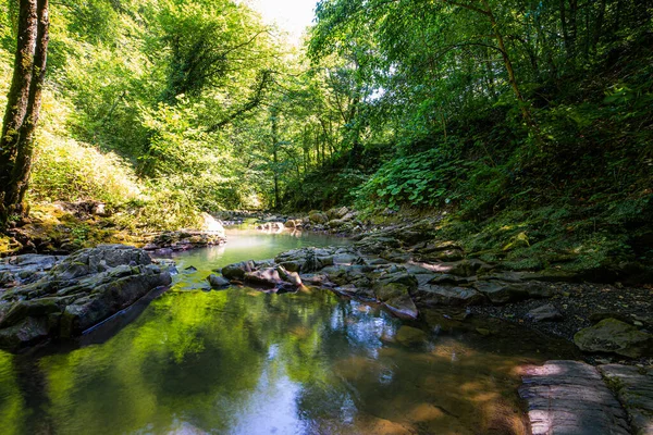 Kleiner Fluss Oder Bach Tiefen Wald — Stockfoto