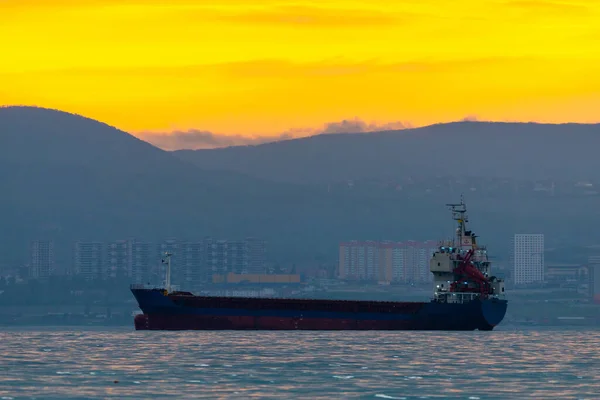 Cargo Ship Sailing Sea Golden Sunset Sunrise Ocean Shipment Water — Stock Photo, Image