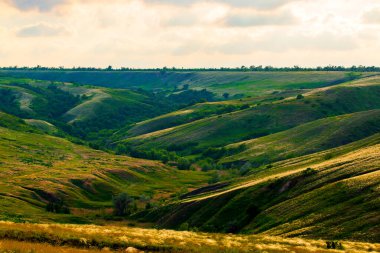 Tepelerin yamaçlarında yaz manzarası. Tepenin yamacındaki vadide yeşil ve tüylü otlar.
