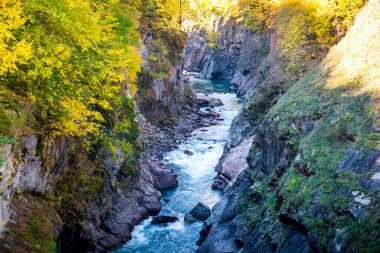 Adygea 'da kanyon boyunca akan Belaya nehri manzarası.