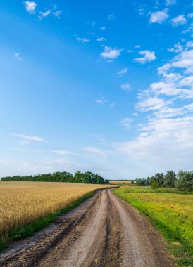 Mavi gökyüzünün altındaki buğday tarlasında biraz bulutlu köy yolu.