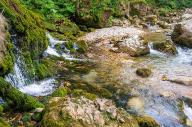 Ekoloji ve doğa. Kayalar ve nemli yeşil yosunlar arasında temiz içme suyu kaynağı.