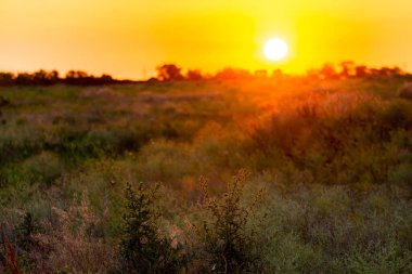Turuncu gökyüzünde parlak güneş ve gün batımında bulutlar..