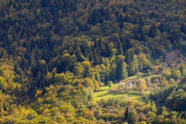 Doğada evi olan havadan bir manzara. Ormanda sakin bir yer.