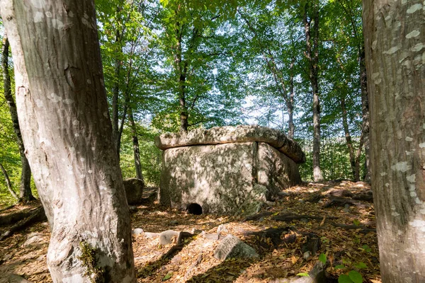 Dolmen Tumba Megalítico Antiguo Bosque —  Fotos de Stock