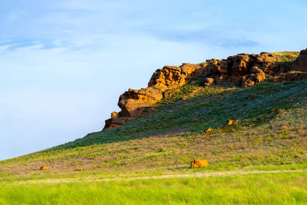 Rock Erosion Weathered Ground Stones Geological Formations — Stock Photo, Image