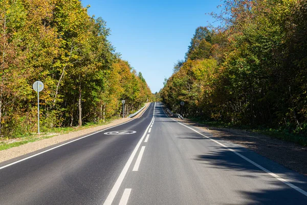 Summer Country Road Trees Concept — стоковое фото