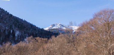 Rusya 'da yumuşak ormanları olan karlı kış dağları