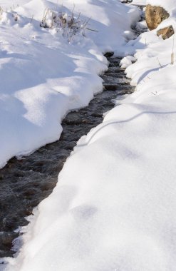 Ormanda kışın nehirde eriyen buzlar.