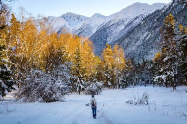 Rusya 'da yumuşak ormanları olan karlı kış dağları