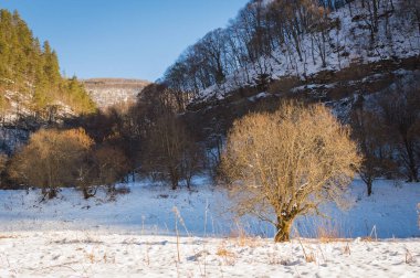 Rusya 'da kaya ve karlı kış manzarası