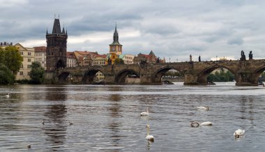 Prag 'da. Charles Köprüsü 'nün Prag' daki görüntüsü. Önde kuğular, kötü hava günlerinde gökyüzünde bulutlar varken..