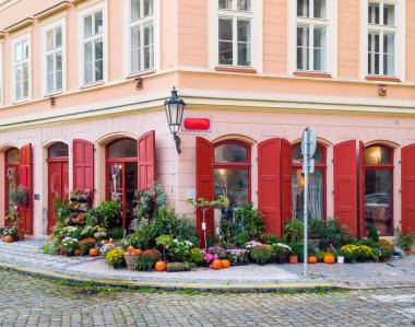 Prag, Çek Cumhuriyeti 'nde, evin köşesinde büyük camlı, kırmızı panjurlu bir kafe yakınında saksılarda çiçekler.