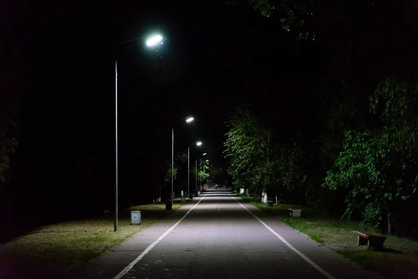 Camino Través Del Parque Ciudad Por Noche Con Farolas —  Fotos de Stock