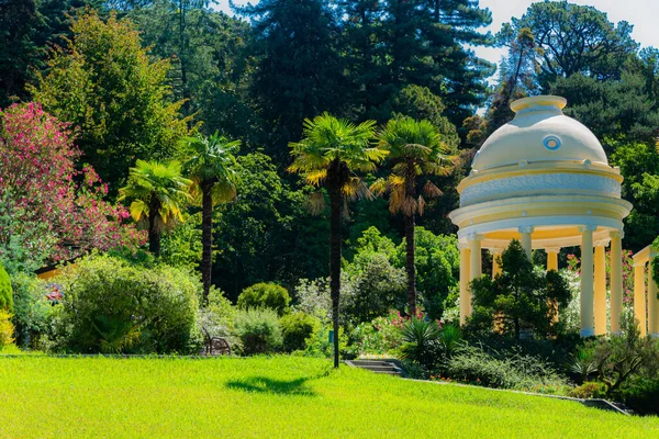 Rotonda Park Gardening Landscape Design Public Relax Place Arboretum Park — Stock Photo, Image