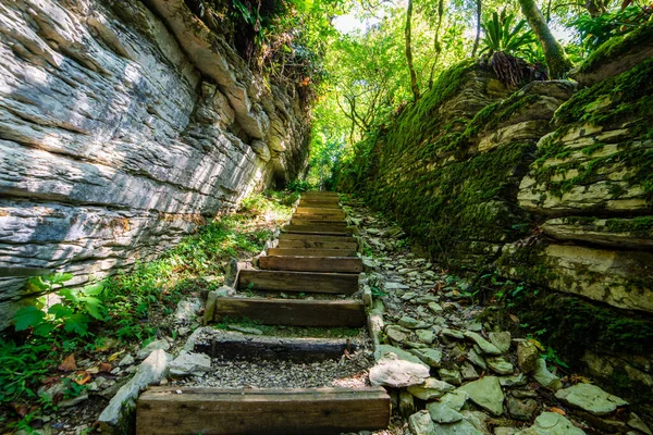 神秘森林里的石阶徒步旅行的小径 — 图库照片