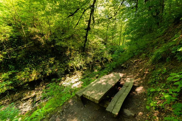 Ulusal Park Taki Yürüyüş Parkında Dinlenme Alanı — Stok fotoğraf