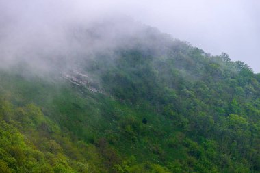 Sisli arazideki güzel sis dağlarının görkemli manzarası. Dramatik sıradışı sahne. Seyahat geçmişi. Güzellik dünyasını keşfetmek.