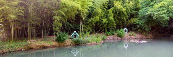 Velha Lagoa Bonita Com Casa Para Cisnes Outros Pássaros — Fotografia de Stock