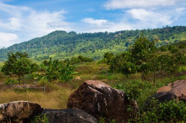 Tayland 'ın Khlong Yai eyaletinde güzel doğal manzara..