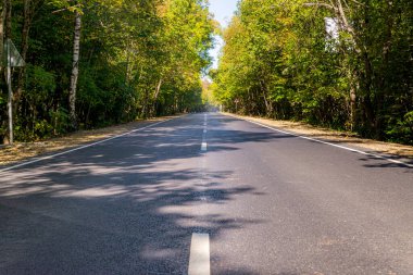 Kavram Yanı Başında Ağaçlarla Yaz Ülke Yolu.