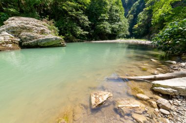 Ormanda ya da Ulusal Park 'ta çamurlu suyu olan dağ nehri.