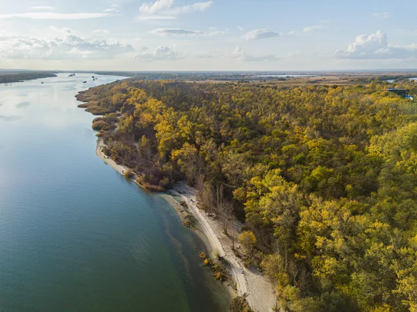 Rivier Zandstrand Kleine Bosjes Aan Een Oever Van Rivier — Stockfoto