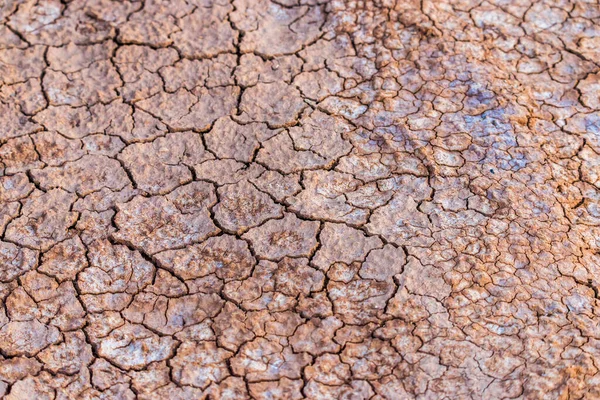 Cracked Clay Ground Dry Season Global Desertification Territories — Stock Photo, Image