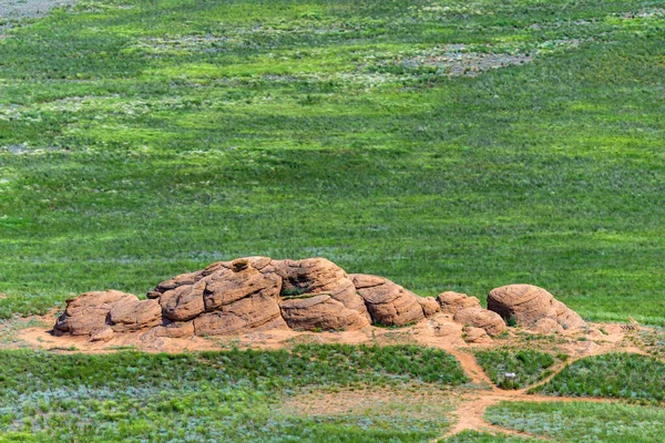 Vista Lago Salgado Baskunchak Uma Pedra Semelhante Cabeça Animal Homem — Fotografia de Stock