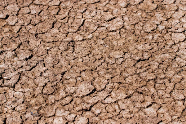 Landscape Dry Cracked Takir Soil Semi Desert — Stock Photo, Image