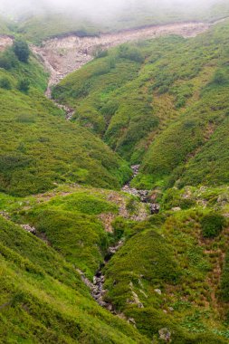 Bir dağ deresinin kurumuş yatağı. Doğanın bileşimi.