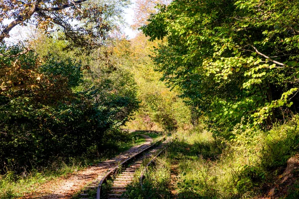 Εγκαταλελειμμένοι Σιδηρόδρομοι Φθινόπωρο Ορεινό Δάσος Φυλλώδη Δέντρα Στον Καύκασο Mezmay — Φωτογραφία Αρχείου