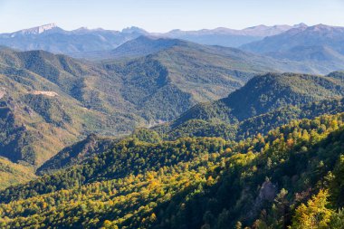 Ormanla kaplı dağların panoramik manzarası.