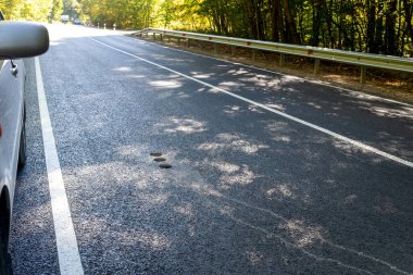 Asfalt kaldırımda delikler, laboratuvar testleri için delinmiş silindirik numune..