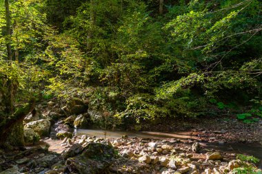 Nehrin kaynağı küçük akarsulardır. Kayalar boyunca yosun ve eğreltiotu içeren küçük bir şelale bulunur..