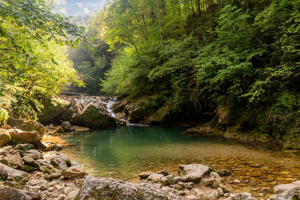 Górska Rzeka Lesie Woda Kamieniach — Zdjęcie stockowe