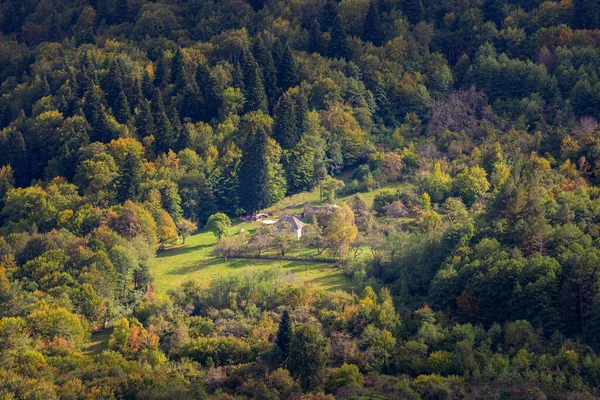 Paysage Aérien Avec Maison Dans Nature Endroit Calme Dans Forêt — Photo
