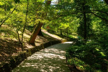 Güzel bir parkta çiçekler, yeşil bitkiler ve çimlerle çevrili kıvrımlı bir patika..