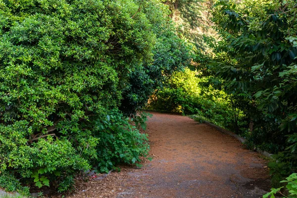 Pittoreske Tropische Plek Stad Weg Met Wandelpad Onder Groene Palmbomen — Stockfoto