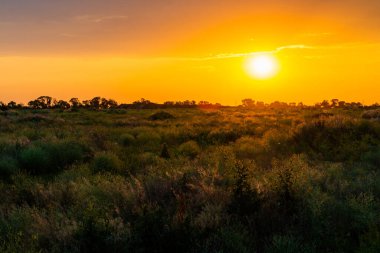 Turuncu gökyüzünde parlak güneş ve gün batımında bulutlar..
