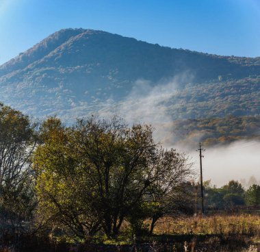 Gün doğumunda dağlarda güzel bir manzara. Ormanla kaplı sisli tepelerin manzarası.