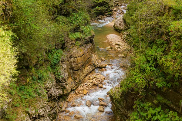 Outono Riacho Closeup Panorama Com Árvores Folhagem Rochas Floresta Com — Fotografia de Stock