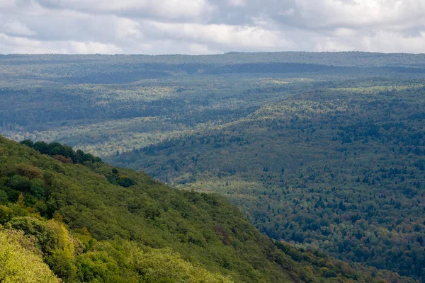 Панорамний Вид Гори Вкриті Лісом — стокове фото