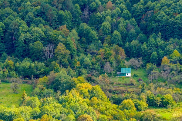 Paisaje Aéreo Con Casa Naturaleza Lugar Tranquilo Bosque — Foto de Stock