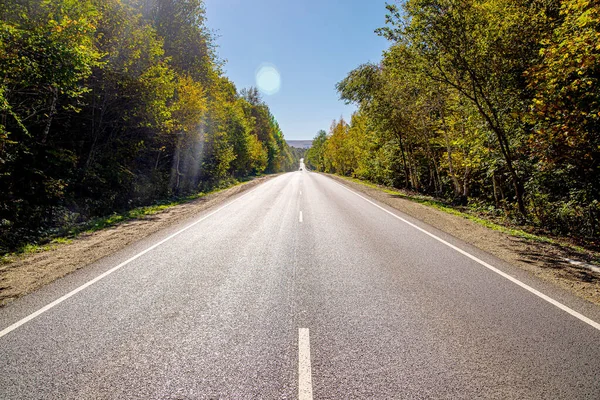 Summer Country Road Trees Concept — стоковое фото