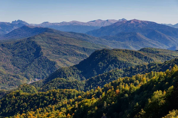 Панорамний Вид Гори Вкриті Лісом — стокове фото