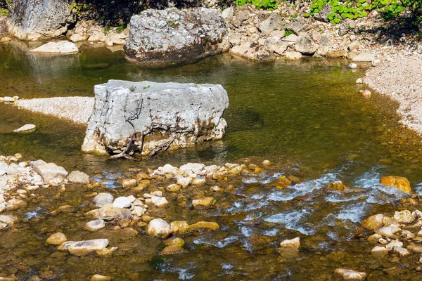 森林河流岩石景观 河流森林景观 森林河流岩石景观 森林深处河景 — 图库照片