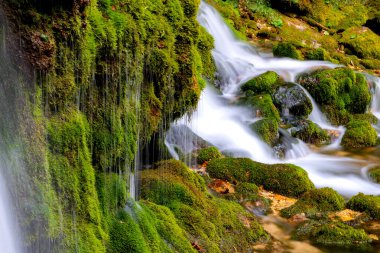 Ekoloji ve doğa. Kayalar ve nemli yeşil yosunlar arasında temiz içme suyu kaynağı.