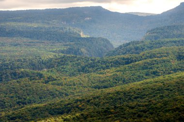 Dağ manzarası. Ormanla kaplı vadi ve dağlar.