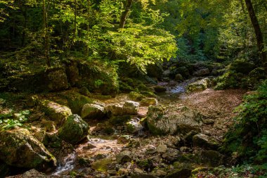 Nehrin kaynağı küçük akarsulardır. Kayalar boyunca yosun ve eğreltiotu içeren küçük bir şelale bulunur..